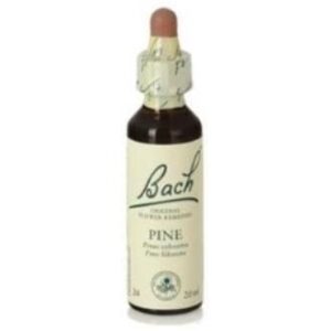 Flores Bach Pine  Pino Silvestre 20ml