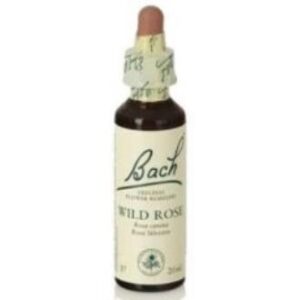 Flores Bach Wild Rose Rosa Silvestre 20ml